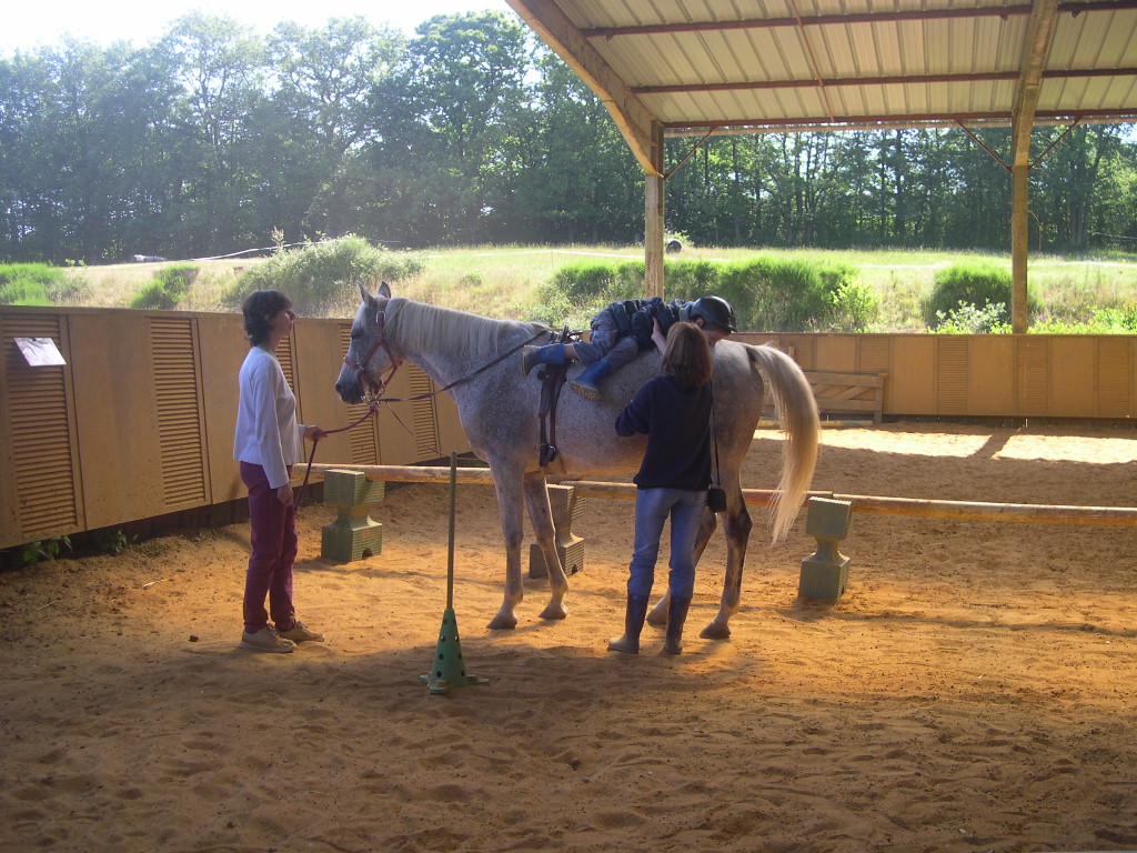 La thérapie avec le Cheval - TAC