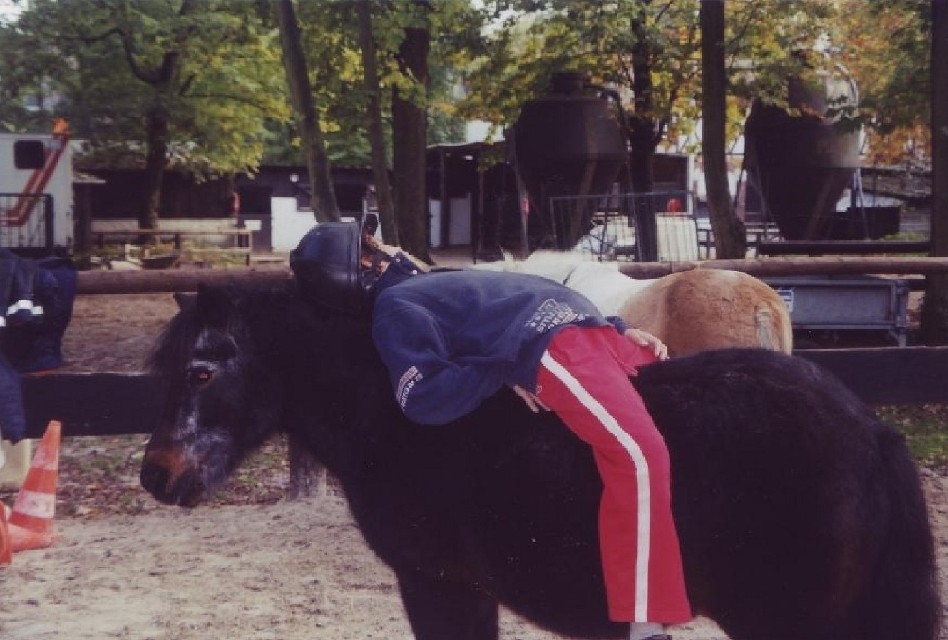 Comment agit le thérapeut avec le cheval ?